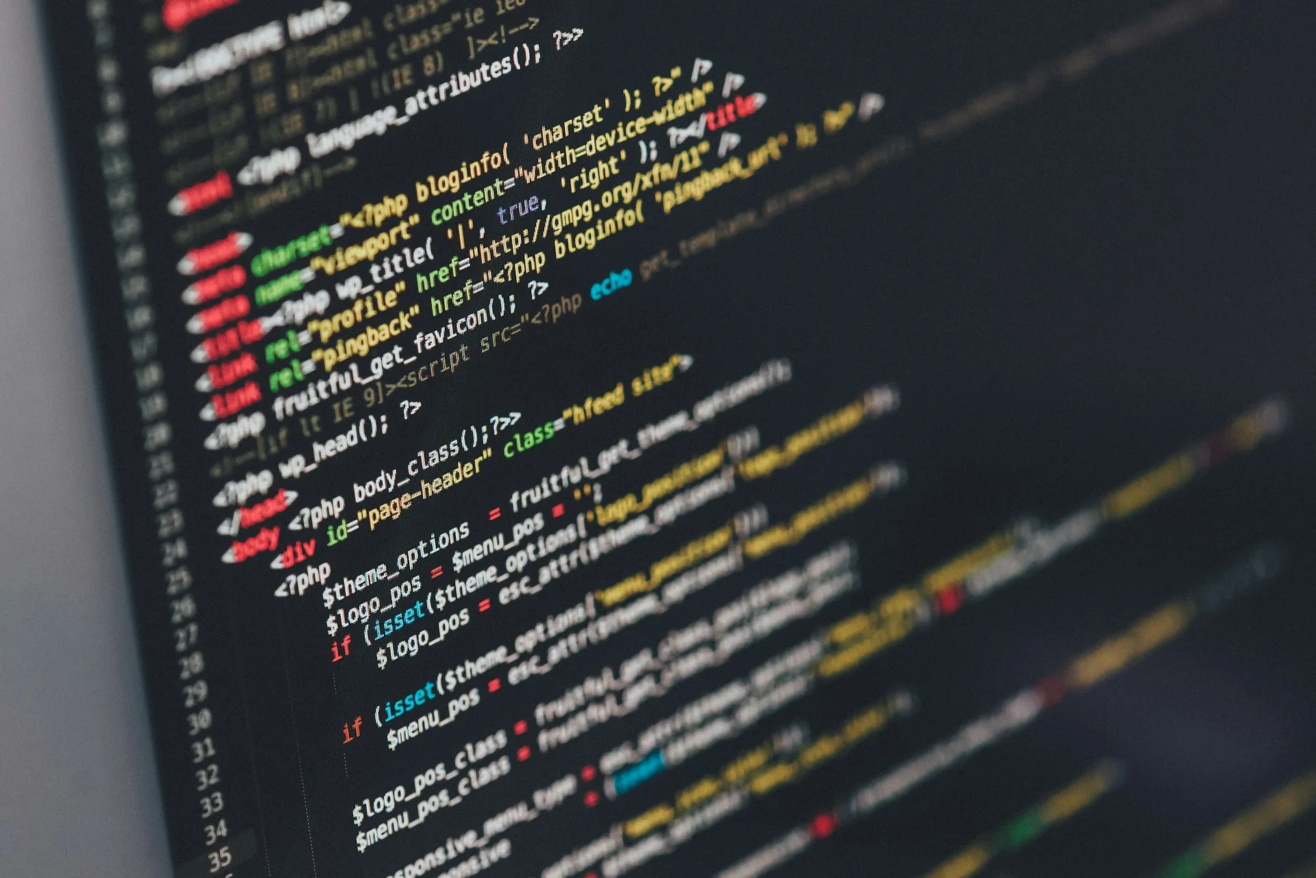 Custom Web Development in Sterling Heights